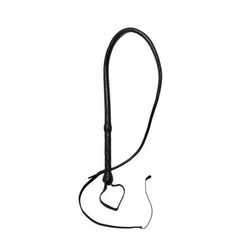 Flogger Cuero Trenzado The Vibe 1 m