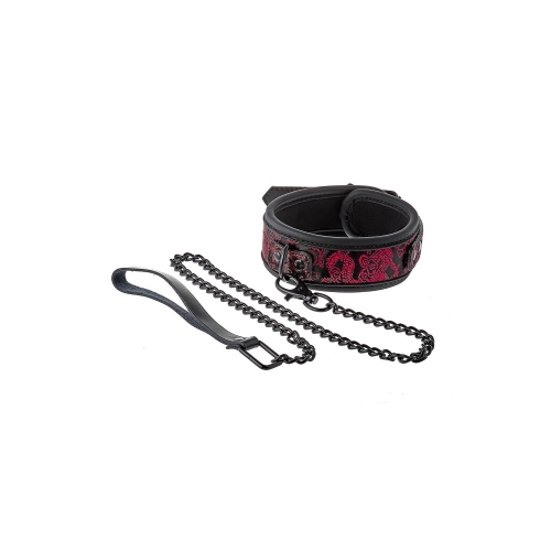 Collar y Correa Blaze Deluxe
