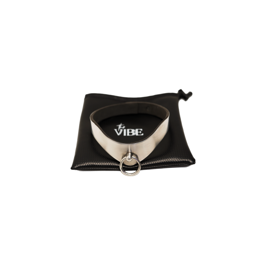 Collar de Metal BDSM The Vibe